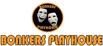 Bonkers Playhouse